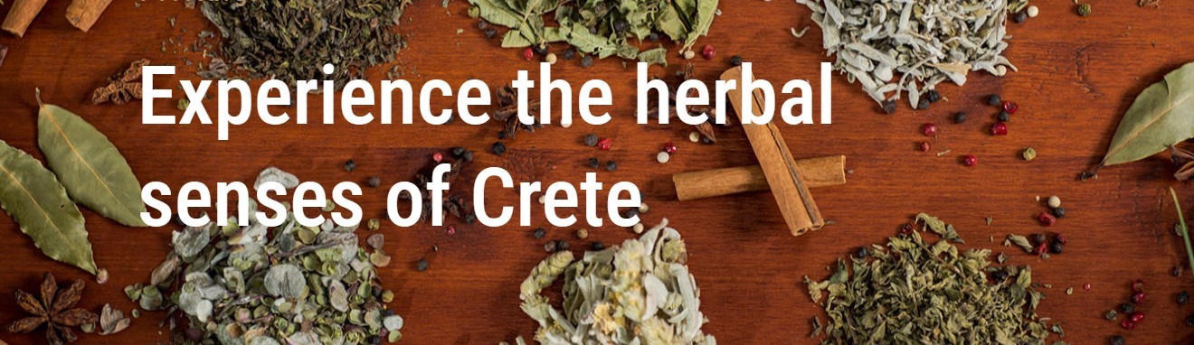 Snímek obrazovky 2024-07-03 101418