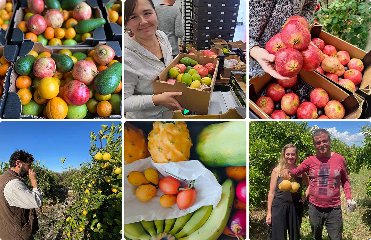 Ovoce a farmáři - Výdejna chutí - Zlínský kraj - PraveBio.cz