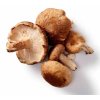 Mushrooms for Life | Bio Shiitake (Houževnatec jedlý) prášek