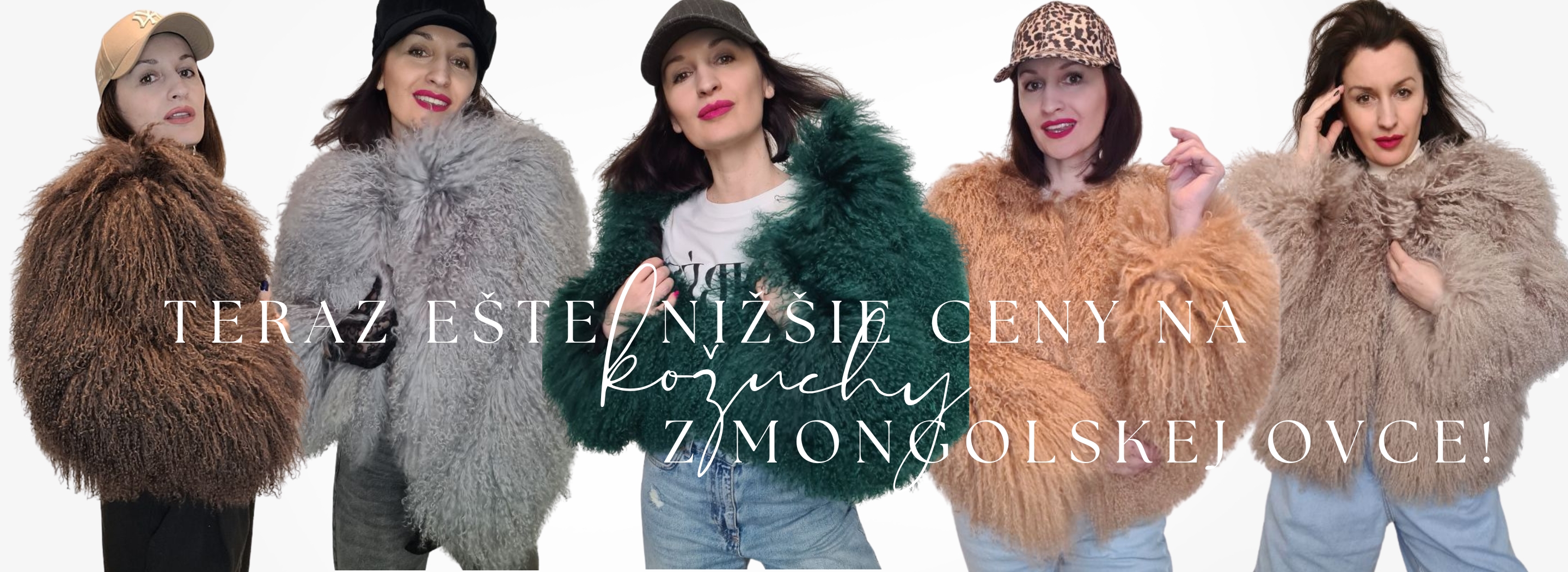 Nižšie ceny na mongolskú ovcu!
