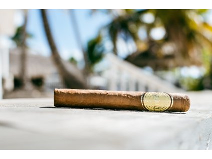 Robusto