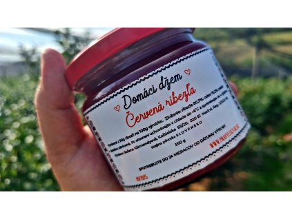 Domáci džem ČERVENÁ RÍBEZĽA (350g)