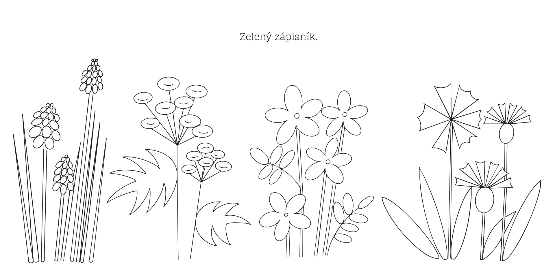 Zelený zápisník