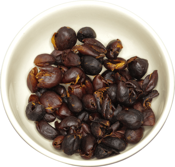 Cascara