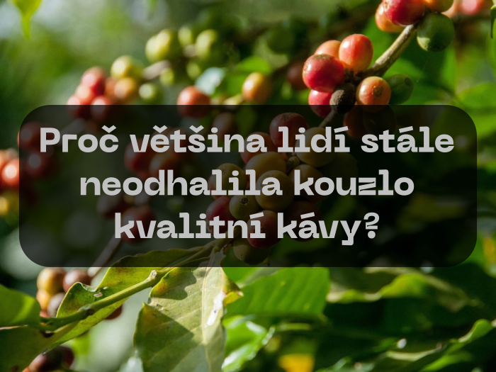 Proč většina lidí stále neodhalila kouzlo kvalitní kávy?