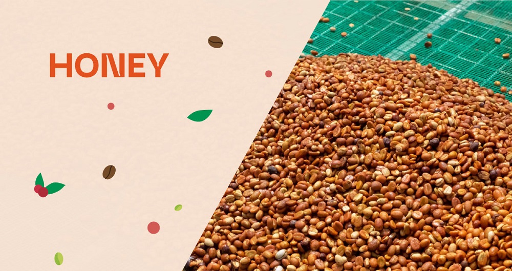 Honey