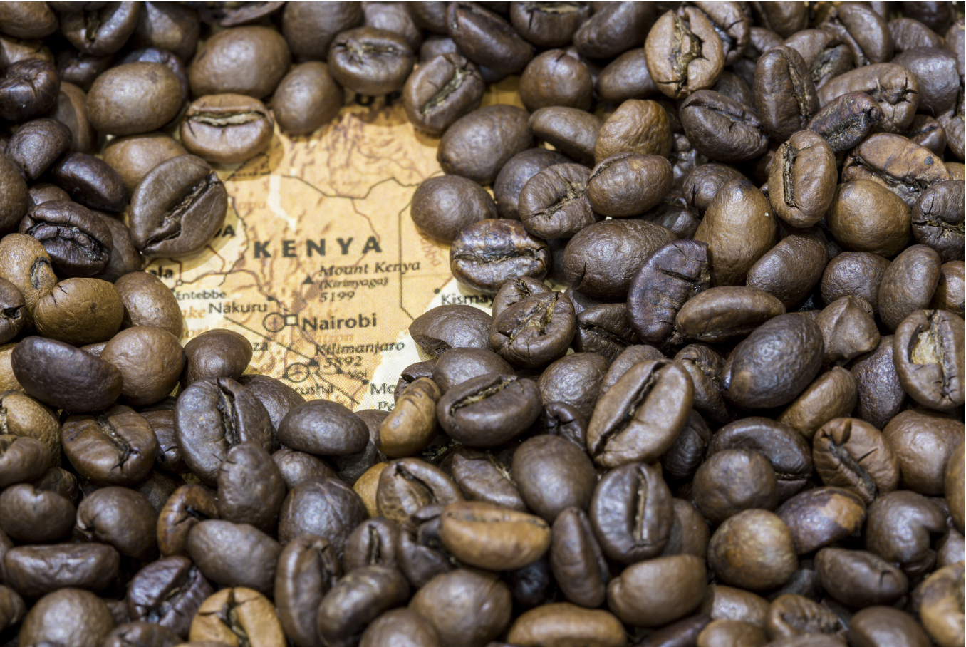 Keňská káva
