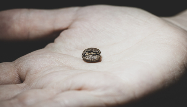 Jak poznat výběrovou kávu