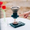 Hario immersion dripper SWITCH V60-02