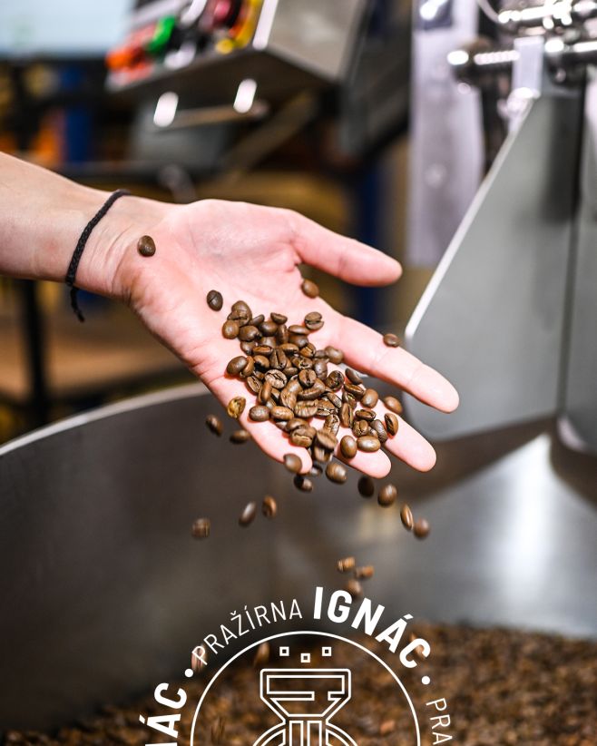 Každé zrnko, které projde našima rukama, pražíme s pečlivostí, aby se naplno projevil jeho potenciál. Káva není jen nápoj...