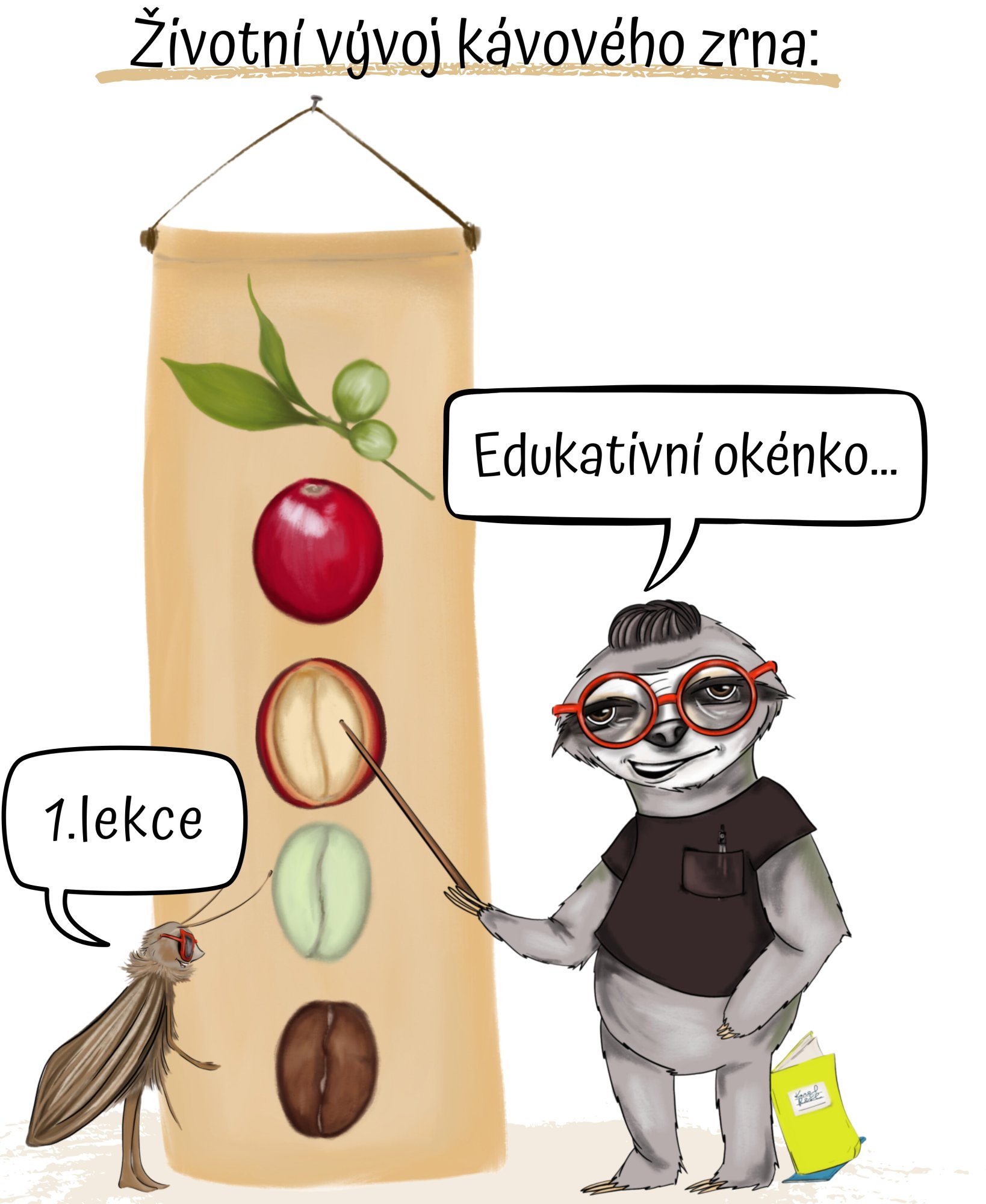 Vývoj kávového zrna