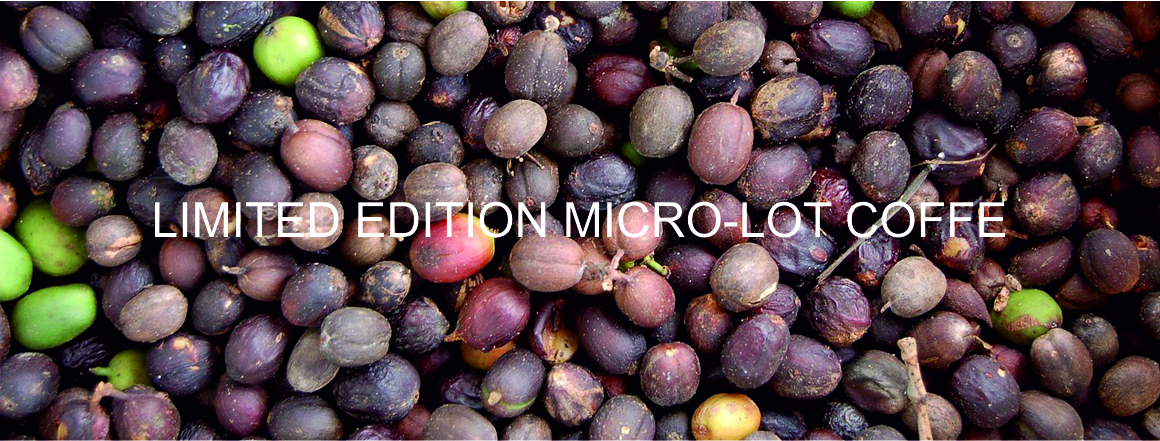 Sušení zralých kávových třešní