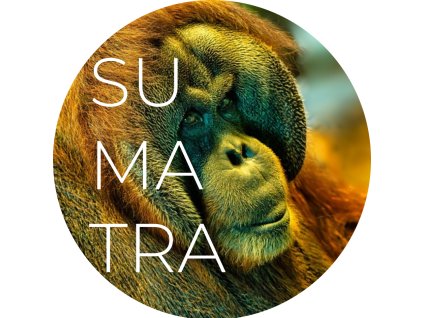 sumatra