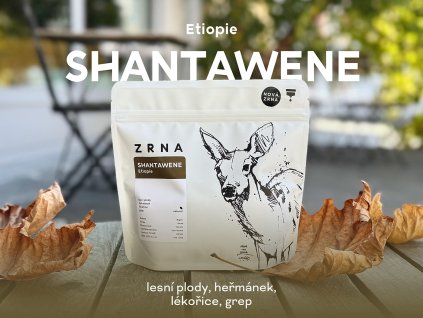 Shantawene web 1