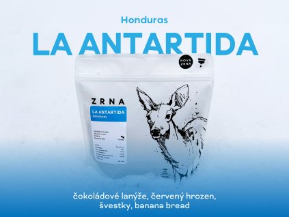 La Antartida eshop 1