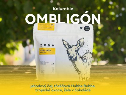 Omligon eshop 1