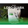 Lobo Guara eshop 1