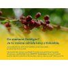 Omligon eshop 2