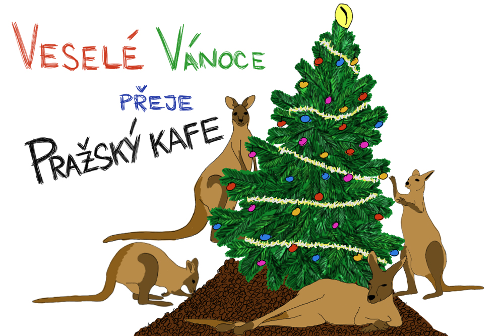Veselé Vánoce !