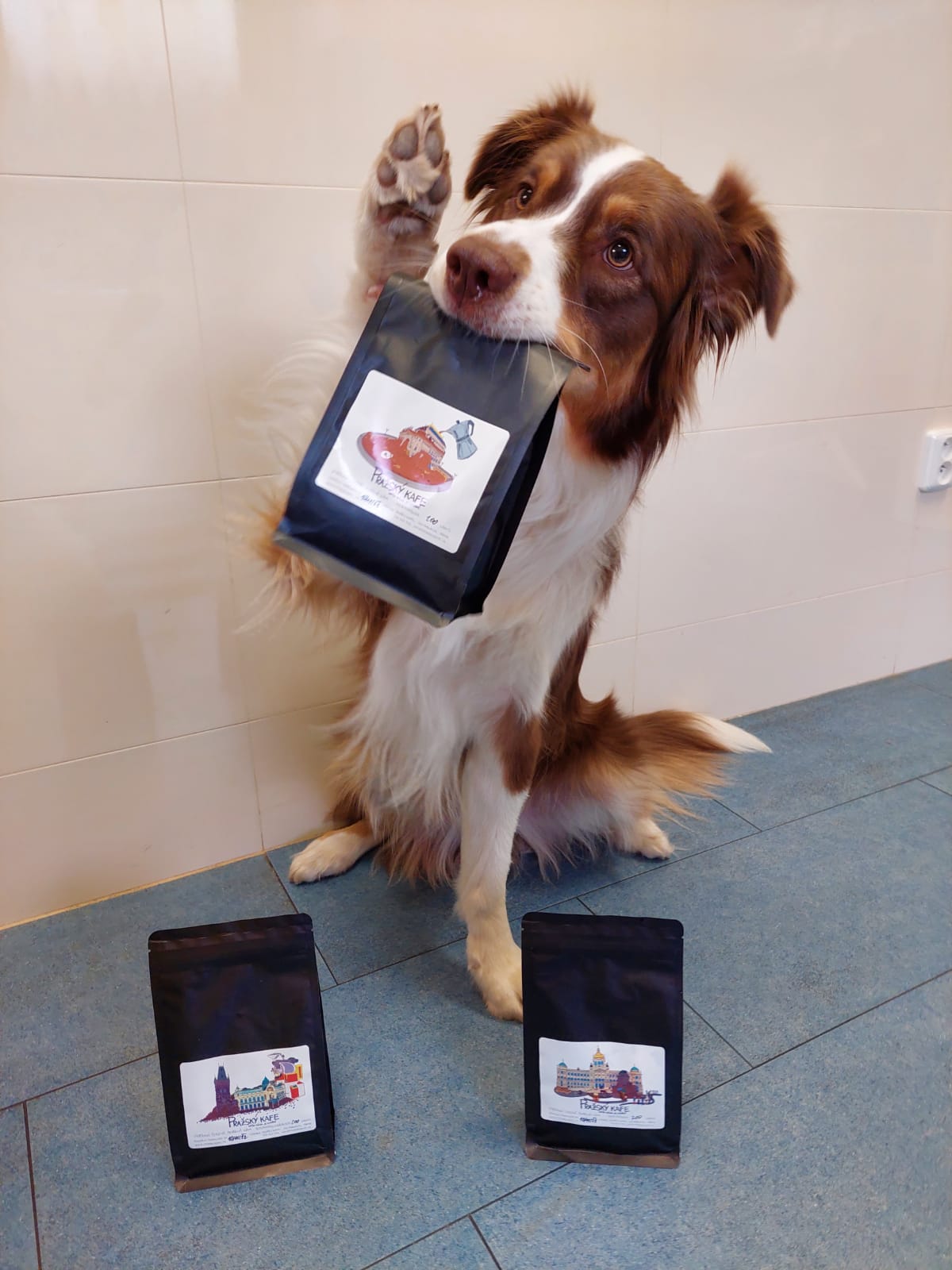 Káva pro veterinární pohotovost iVET na Praze 4