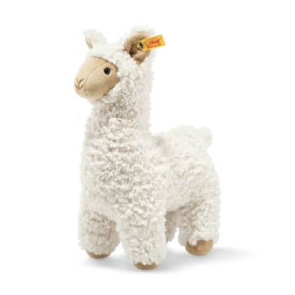 069543 Leandro llama