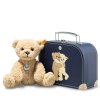 114021 Ben Teddy bear in suitcase
