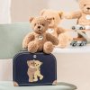 114021 Ben Teddy bear in suitcase 2