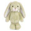 JumpyBunnyLime