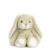 JumpyBunnyLimeSitting