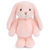 JumpyBunnyPeach