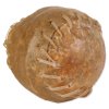 G14 2673 large