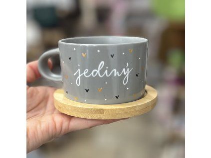 3107-34 Sivá Jediný