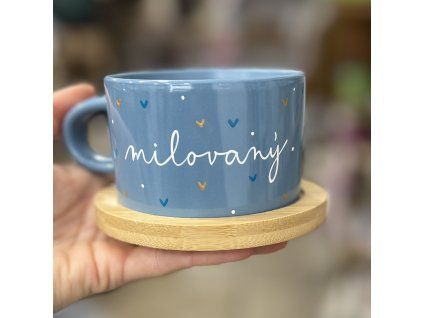 3107-41 Modrá Milovaný