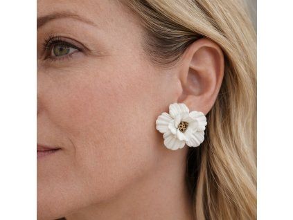 366E8026 6ACE 4F6C BC76 0ED269411DE4