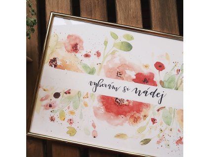 Print Vyberám si nádej