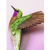 Brošňa Korytnačka, Tukan, Kolibrík, Rybárik