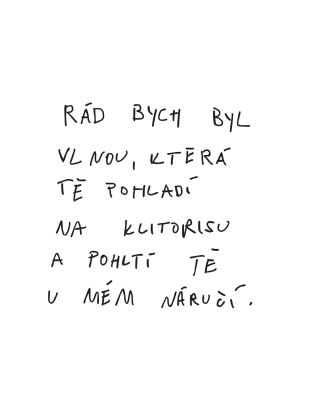 ŠPLOUCHÁNÍ