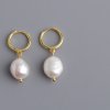 NF4016 Stříbrné náušnice - pozlacené - kroužky s perlou