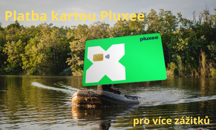 Platba kartou pluxee