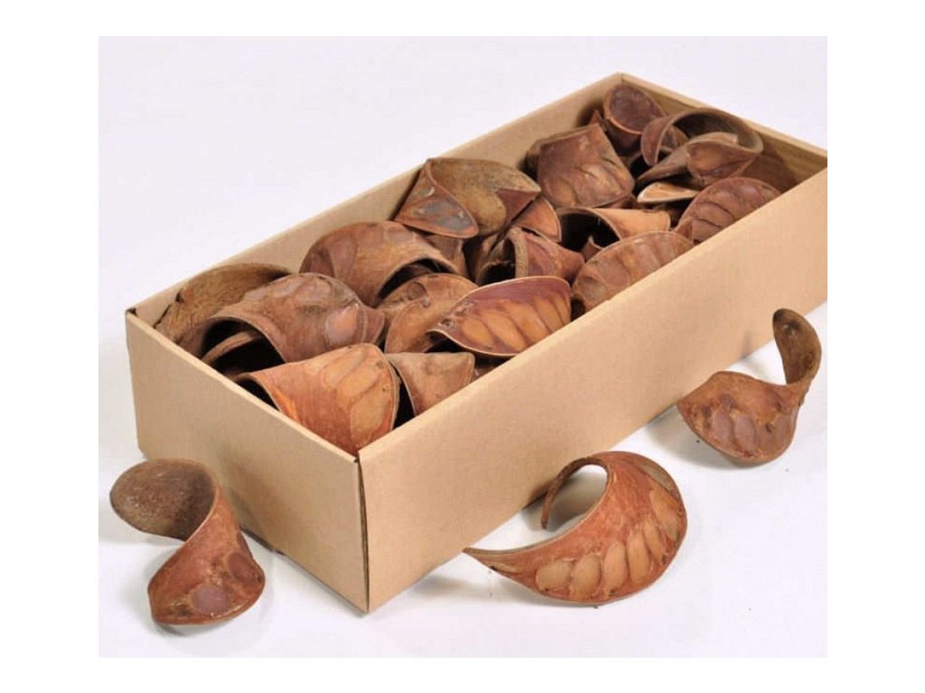 Novinka v našom Eshope. Prírodné a keramické dekorácie.