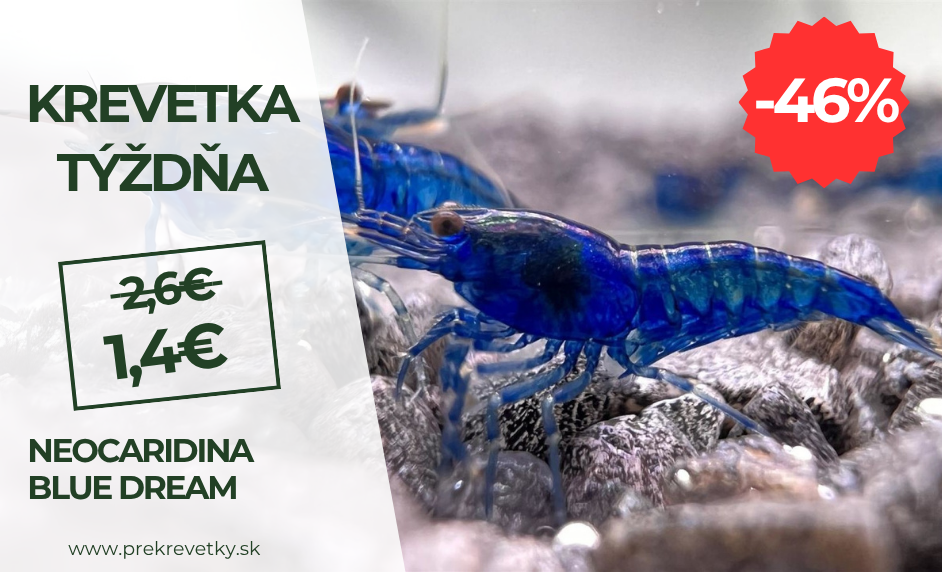 Krevetka týzdna