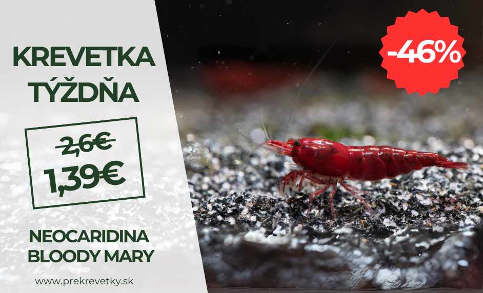 Krevetka týzdna