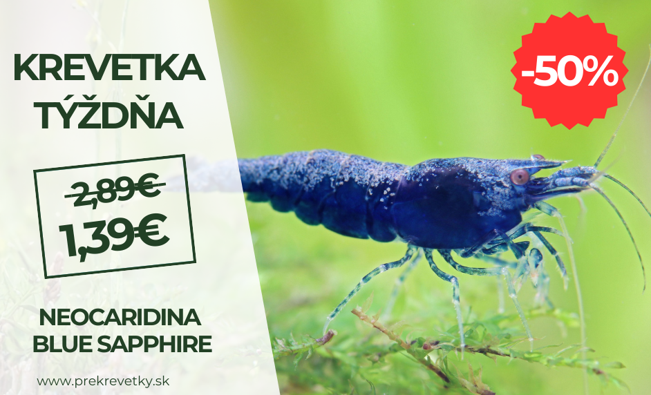 Krevetka týzdna