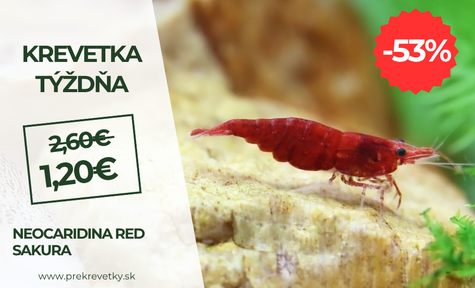 Krevetka týzdna