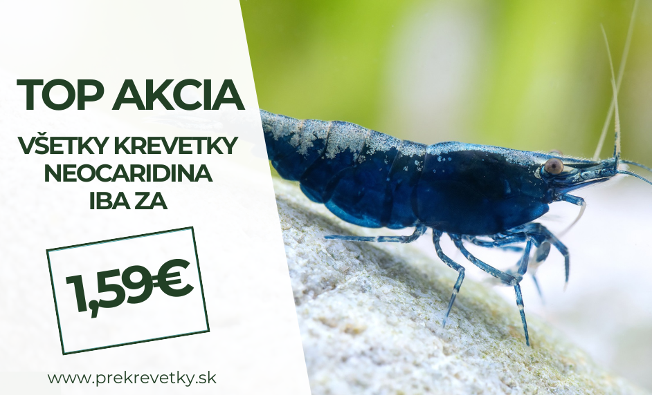 Promo akcia