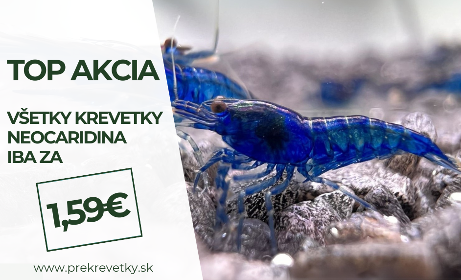 Promo akcia