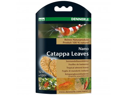 dennerle nano catappa leaves 12x