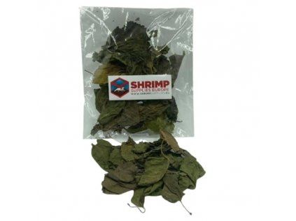shrimp supplies mulberry leaves