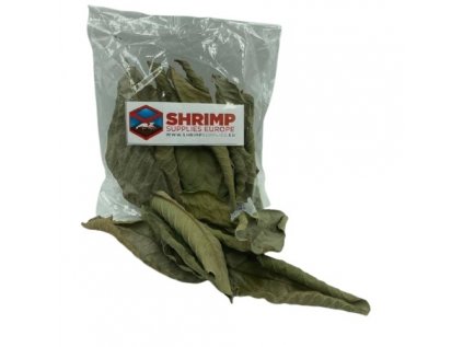 shrimp supplies guava leaves budget