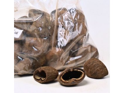 shrimp supplies cocos pod 6 8cm